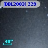 [DBL2003] 229