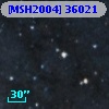 [MSH2004] 36021