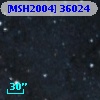 [MSH2004] 36024
