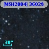 [MSH2004] 36028