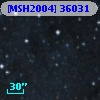 [MSH2004] 36031