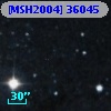 [MSH2004] 36045