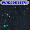 [MSH2004] 36078