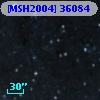 [MSH2004] 36084