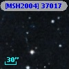 [MSH2004] 37017