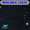 [MSH2004] 37020