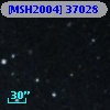 [MSH2004] 37028
