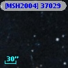 [MSH2004] 37029