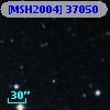 [MSH2004] 37050