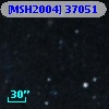 [MSH2004] 37051