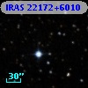IRAS 22172+6010