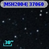 [MSH2004] 37060