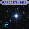 IRAS 22173+6031