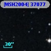 [MSH2004] 37077