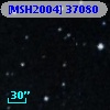 [MSH2004] 37080