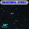 [MSH2004] 37091