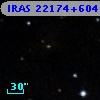 IRAS 22174+6042