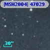 [MSH2004] 47029