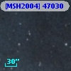 [MSH2004] 47030