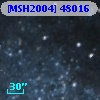 [MSH2004] 48016