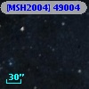 [MSH2004] 49004