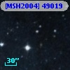 [MSH2004] 49019