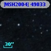 [MSH2004] 49033