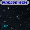 [MSH2004] 49034