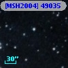 [MSH2004] 49035