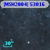 [MSH2004] 53016