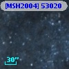 [MSH2004] 53020
