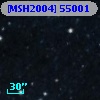[MSH2004] 55001