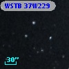 WSTB 37W229