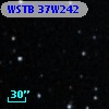 WSTB 37W242