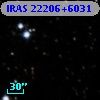 IRAS 22206+6031
