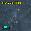 [PAV78] 736