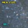 MLA 1181