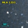 MLA 1203