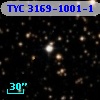 TYC 3169-1001-1