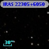 IRAS 22305+6050