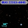 IRAS 22313+6045