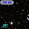 25P 66