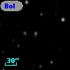 Bol D330