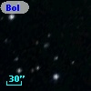 Bol D320
