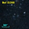 Bol D288