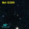 Bol D289