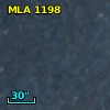 MLA 1198