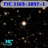 TYC 3169-1097-1