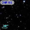 24P  81