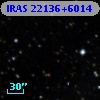 IRAS 22136+6014